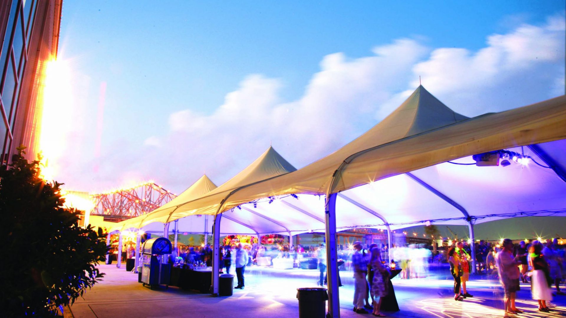Mardi Gras World Background