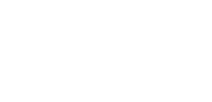 The Fox News logo in white