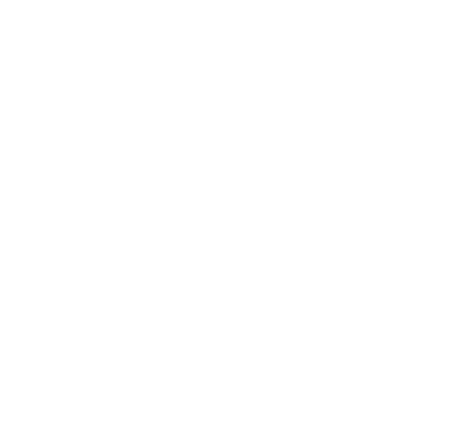 The History Channel logo in white